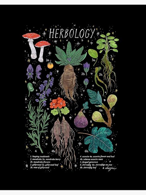 "Herbology Plants, Farm and Animal Herbology" Art Board Print for Sale by KlineAshton Katie Scott, Magical Decor, Microfiber Blanket, Mermaid Print, Cozy Throws, Different Plants, Art Prints Quotes, Minimalist Home Decor, Blanket Gift