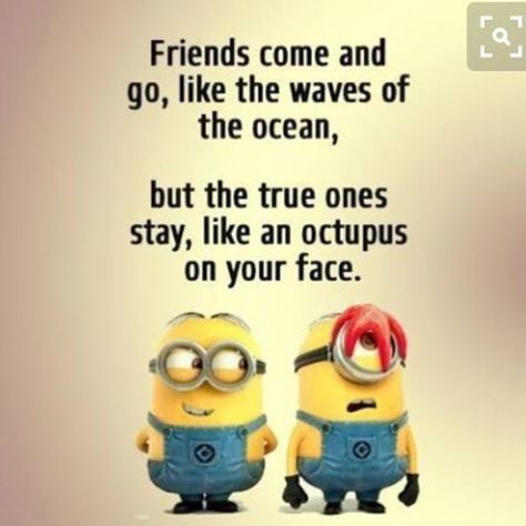 Friends come and go, like the waves of the ocean minion minions minion quotes minion quotes and sayings Top 20 Funniest, Friends Come And Go, Funny Minion Memes, Minion Pictures, Minion Jokes, Motivation Poster, Friendship Humor, Minion Quotes, Funny Minion Quotes