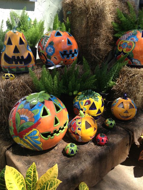 Talavera Pumpkin patch at Tom's Thumb Nursery Galveston Texas Talavera Pumpkins, Talavera Garden, Diy Bucket, Fall Gourds, Halloween Pumpkins Painted, Talavera Pottery, Halloween 2018, Mexican Pottery, Pumpkin Art