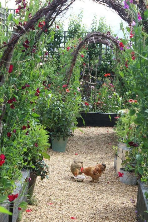 Garden Visit: A Factory Yard at Emma Bridgewater in Stoke-on-Trent Potager Garden, Longwood Gardens, Garden Types, Veg Garden, Vegetable Garden Design, Emma Bridgewater, Stoke On Trent, Gorgeous Gardens, Veggie Garden