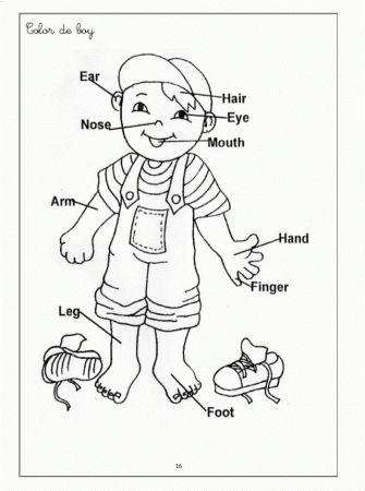 Coloring Body Coloring, Body Systems Worksheets, Body Parts For Kids, Human Body Worksheets, Free Human Body, Body Parts Preschool, Anatomy Coloring Book, Body Part Drawing, Coloring Pages Winter