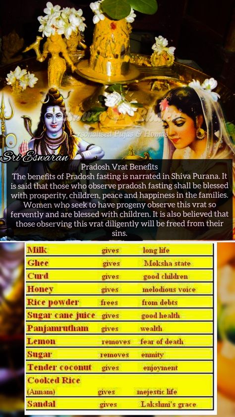 Pradosh Vrat Benefits The benefits of Pradosh fasting is narrated in Shiva Purana. It is said that those who observe pradosh fasting shall be blessed with prosperity, children, peace and happiness in the families. Women who seek to have progeny observe this vrat so fervently and are blessed with children. It is also believed that those observing this vrat diligently will be freed from their sins. Pradosh Vrat, Shiva Purana, Hindu Vedas, Spiritual Stories, Shiva Songs, Sanskrit Mantra, Astrology Remedy, Hindu Rituals, Shiva Linga