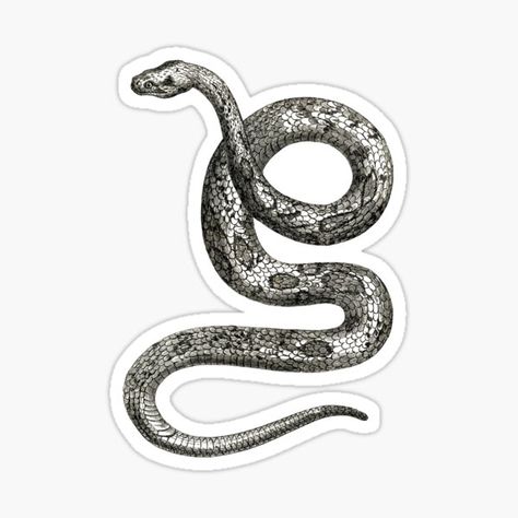 Snake Stick, Snake Sticker, Snake Illustration, Don't Tread On Me, Stickers Redbubble, Stickers For Sale, Black N White, Bullet Journals, Aesthetic Stickers