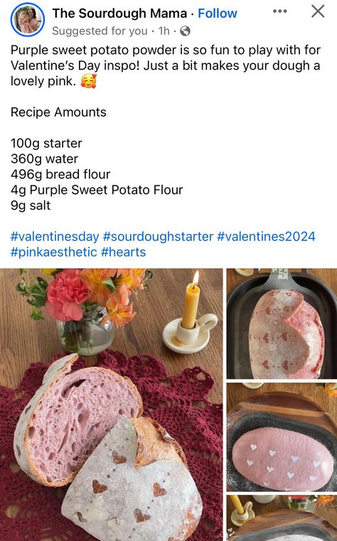 Pink Sourdough Bread, Valentine’s Day Sourdough, Valentine Sourdough, Easy Sourdough Bread Recipe, Sourdough Starter Discard Recipe, Discard Recipes, Bread Maker Recipes, Homemade Sourdough Bread, Homemade Sourdough