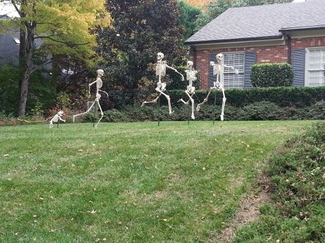 Funny Skeleton Poses, Skeleton Decorations Outdoor, Skeleton Poses, Appalachian People, Scary Halloween Decorations Outdoor, Halloween Skeleton Decorations, Halloween Outside, Halloween Family, Instruções Origami