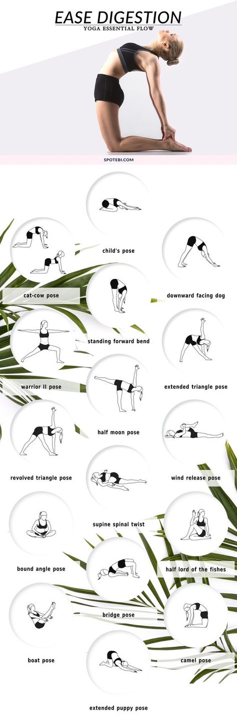 Boost digestion, relieve constipation and de-bloat with this 20-minute yoga essential flow. Pair these 17 yoga poses with deep breathing to massage the abdominal organs, increase circulation and get things moving! https://www.spotebi.com/yoga-sequences/ease-digestion/ Exercise To Reduce Stomach, Prenatal Yoga Poses, Yoga Diet, Yoga Ashtanga, Ashtanga Vinyasa Yoga, 20 Minute Yoga, Metabolic Diet, Yoga Iyengar, Yoga Posen