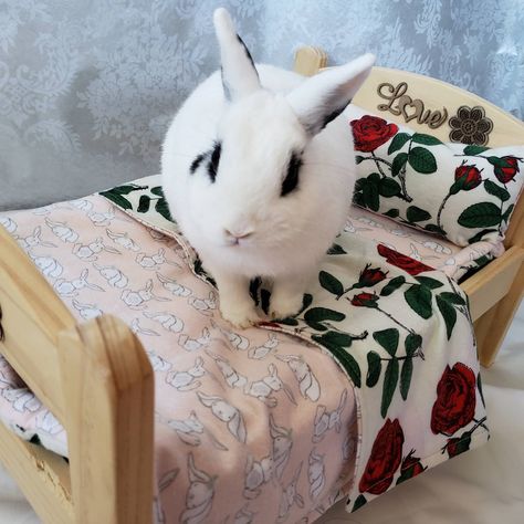 Reversible Bunny Bed Pad, Blanket and Pillow for the IKEA doll bed - Roses & Buns FREE SHIPPING - Spoil your fur-baby! Bunny Furniture, Bunny Setup, Bunny Houses, Bunny Tips, Bunny Bedding, Ikea Doll, Ikea Doll Bed, Bunny Bed, Bunny Clothes