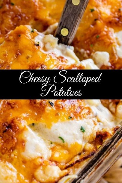 Cheesy Scalloped Potatoes recipe Easy Cheesy Scalloped Potatoes, Scalloped Potato Casserole, Cheese Scalloped Potatoes, Slow Cooker Scalloped Potatoes, Cheesy Scalloped Potatoes Recipe, Easy Scalloped Potatoes Recipe, Onion Casserole, Scalloped Potatoes Easy, Scalloped Potato