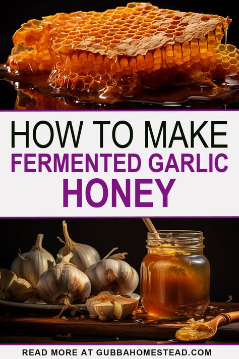 Fermented Garlic Honey Garlic And Honey Benefits, Fermented Garlic Honey, Honey Remedies, Fermented Garlic, Honey And Garlic, Garlic And Honey, Fermented Honey, Natural Medicine Cabinet, Garlic Honey