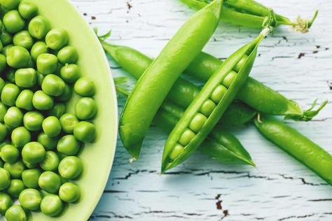 The Difference Between Peas and Beans and Why it Matters Kacang Polong, Garden Peas, Growing Peas, Edible Seeds, Pioneer Woman Recipes, Campfire Food, Fava Beans, Meat Substitutes, Protein Shake Recipes