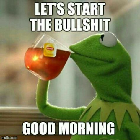 Good Morning Meme, Funny Good Morning Memes, Good Morning For Him, Kermit Funny, Morning Memes, Funny Good Morning Quotes, Work Quotes Funny, Morning Quotes Funny, Good Morning Funny