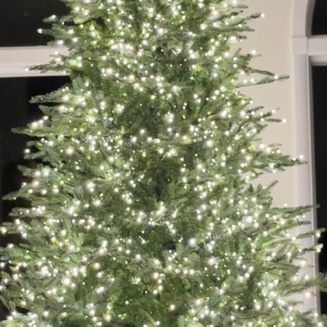 saraovershares | fashion, beauty & vintage on Instagram: "My review of the viral Grand Duchess Christmas three from Home Depot. This is the 9 foot full version, with 3400 LED lights. We didn’t have a tree and picking one is tough so I just went with the one everybody was talking about and I love it! If you already have a tree you love, don’t feel pressured to buy 🤍✨ #christmastree #holidaydecor #holidaydecorating #holidaydecor • Christmas tree review • viral Home Depot Christmas tree" Home Depot Artificial Christmas Trees, Grand Duchess Christmas Tree, Christmas Tree Lighting, Artificial Christmas Tree, Xmas Tree, A Tree, Twinkle Twinkle, Warm White, Christmas Ideas