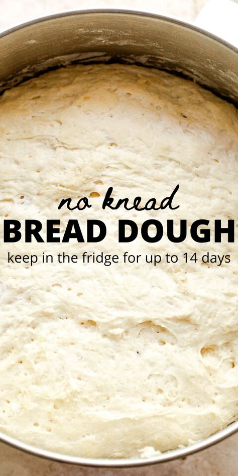 A very simple dough that can be stirred together in minutes, stored in the refrigerator for up to two weeks, and used to make dinner rolls, bread, and more! #noknead #bread #dinnerrolls 5 Minute Bread Dough, Easy Bread Dough Recipe Simple, Bread Dough Recipe Easy, No Knead Refrigerator Bread Dough, No Knead Overnight Bread, Bread Overnight Rise, Refrigerator Sourdough Bread, Over Night Bread Dough, Freezer Bread Dough