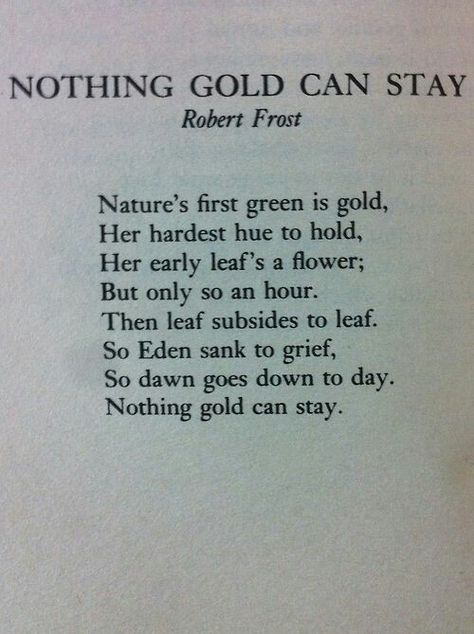 Quotes Literature, Robert Frost Poems, Nothing Gold Can Stay, Robert Frost, Poem Quotes, A Poem, Wonderful Words, Poetry Books, Poetry Quotes