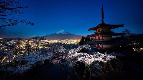 HD wallpaper: spring, yamanashi, fujiyoshida, chureito pagoda, japan, mount fuji | Wallpaper Flare Mt Fuji Wallpaper, Fuji Wallpaper, Japan Aesthetic Wallpaper, Pagoda Japan, Desktop 1920x1080, Japan Mount Fuji, Chureito Pagoda, Mount Fuji Japan, Fuji Japan