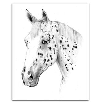 Leopard Appaloosa horse by Heather Rohde Leopard Appaloosa, Horse Tattoo Design, Horse Art Print, Horse Illustration, Horse Tattoo, Appaloosa Horses, Horse Drawing, Graphite Drawings, Appaloosa