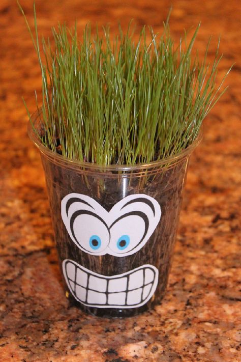 We had such a fun time making these Grass Heads with our Cub Scouts last year for the Cub Scout Theme Planting Seeds of Kindness.  It is... Cress Heads, Rye Grass, Tiger Scouts, Cub Scouts Tiger, Wolf Scouts, Bear Scouts, Plant Activities, Scout Leader, Scout Activities