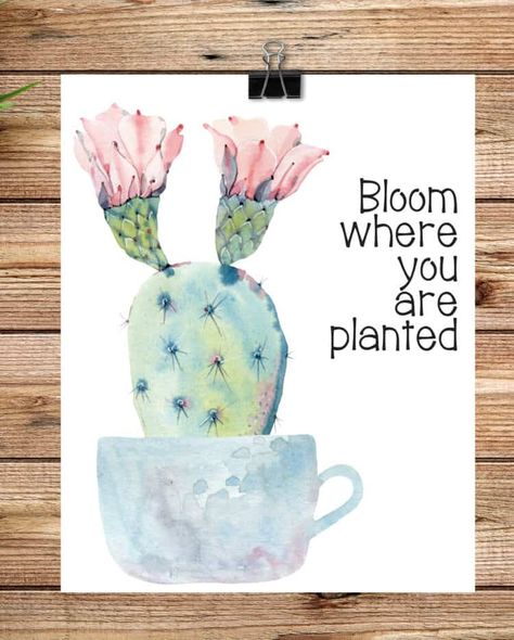 Spring Printables Free, Lavender Hedge, Cactus Classroom, Decorate Kitchen, Cactus Printable, Flowering Cactus, Spring Banner, Diy Blanket Ladder, Spring Printables