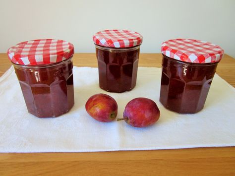 Delicious Victoria Plum Jam #baking #blog #katiestimetravellingkitchen #1840s… History Of Baking, Plum Preserves, Victoria Plum, Plum Jam Recipes, Plum Recipes, Plum Jam, Baking Blog, Jams & Jellies, Jam Recipes