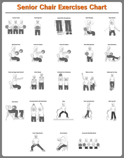 Senior Chair Exercises Printable Charts Stability Exercises For Seniors, Senior Chair Workouts, Chair Workout Exercises For Belly, Senior Circuit Workout, Chair Strength Exercises, Elder Exercise Senior Fitness, Senior Citizen Workout Routines, Senior Mobility Exercises, Geriatric Exercises Senior Fitness