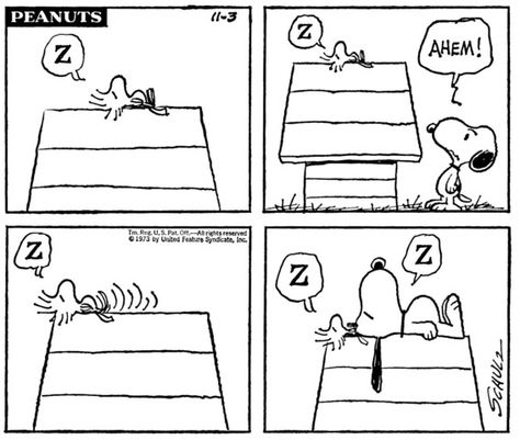 Happy Comics, Charles Shultz, Snoopy Comics, Snoopy Cartoon, Peanuts Comic Strip, Snoopy Funny, Peanuts Snoopy Woodstock, Peanuts Cartoon, Cartoon Strip