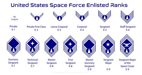 United States Space Force – stadeo design Us Space Force, Camo Phone Cases, Military Style Watches, Military Shoes, Military Logo, Military Ranks, Camo Shoes, Space Force, Us Veterans