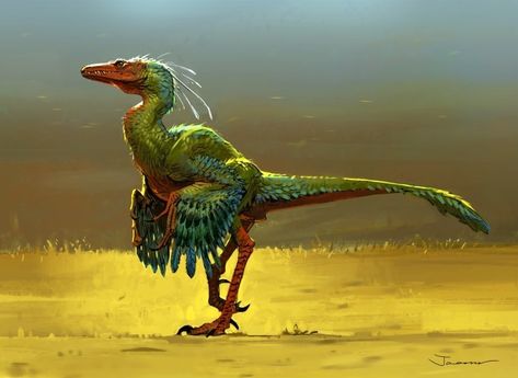 ArtStation - Dino _ feather, Jaemin Kim Feathered Raptor, Ancient Creatures, Prehistoric Animals Dinosaurs, Feathered Dinosaurs, Raptor Dinosaur, Prehistoric Wildlife, Dinosaur Pictures, Dinosaur Illustration, Ancient Animals