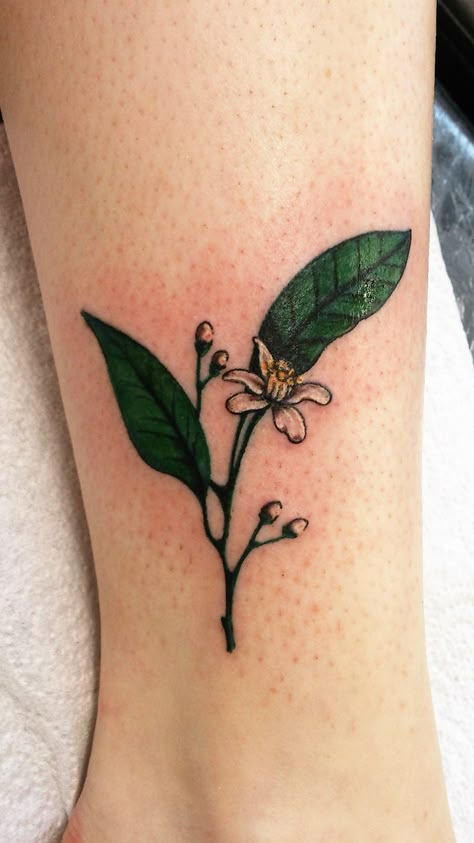 Blossom Flower Tattoo, Orange Blossom Tattoo, Orange Blossom Flower, Flower Shoulder Tattoo, Florida Tattoos, Traditional Tattoo Flowers, Poppies Tattoo, Blossom Tattoo, Makeup Tattoos