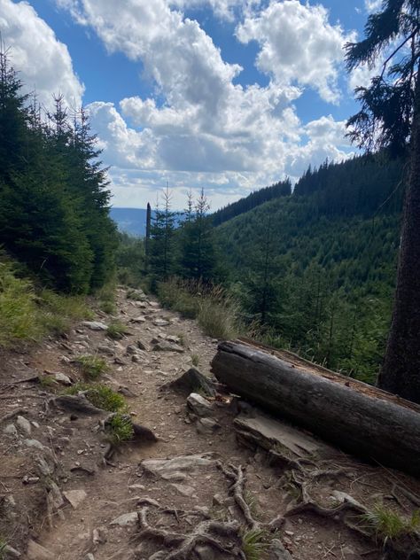 Czech Republic 🇨🇿, forest 🌳🌲 Czech Republic, Mood Board, Hiking, Forest, Magazine