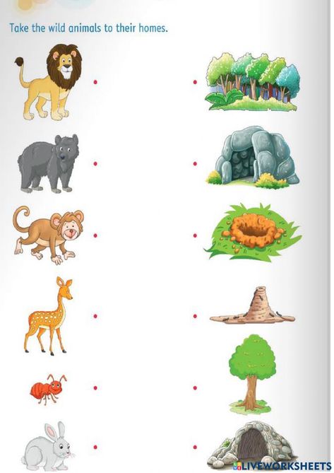 Domestic And Wild Animals Worksheets, Wild Animals Worksheets For Kids, Animals And Their Homes, Farm Day, Animal Worksheets, Biome, Wildlife Animals, Animal House, Kindergarten Worksheets