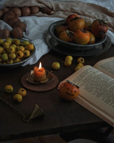 October wrap-up and Halloween mood 🎃 To everyone celebrating today, stay safe and have fun 🤎 . . .       antiques * crabapples * * natural * autumn * fall * candles * light academia * table setting * vintage * retro * reading * persimmons * naturecore * cottagecore * Victorian * Gothic * fruits * cornucopia * Pinterest autumn * fall mood * fall colors * jack-o'-lantern * Halloween . . .      #halloween🎃👻 #myvintagestyle #vintageautumn #yourvintagesoul #cottagecoreaesthetics #seein... Cottagecore Victorian, Cottagecore Halloween, Candles Light, Fall Mood, Crab Apple, Fall Candles, Light Academia, Victorian Gothic, Halloween Halloween