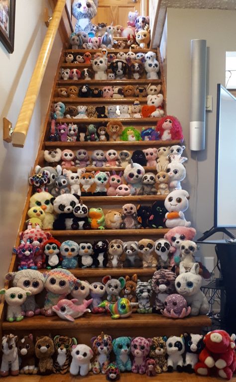 Beanie Boo Collection, Beanie Bellies, Beanie Collection, Boo Board, Ty Stuffed Animals, Ty Toys, Beanie Boo, Ty Beanie Boos, Beanie Boos