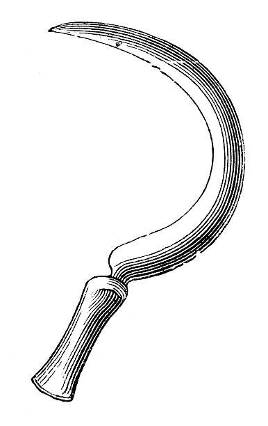 Sickle Reference, Sickle Drawing, Sickle Tattoo, Inktober 2024, Drawing Images, Homemade Christmas Gifts, Homemade Christmas, Flower Drawing, Pen And Ink