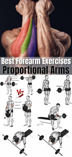 Fore Arms Exercise, Forearm Muscles Workout, Forearm Workouts, Hand Workout, Best Forearm Exercises, Forearm Exercises, Forearm Workout, Latihan Dada, Gym Workout Planner