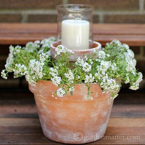 Porch Candles, Flower Pot Centerpiece, Container Gardening Flowers, Diy Flower Pots, Front Patio, Backyard Retreat, Diy Centerpieces, Diy Planters, Summer Decor