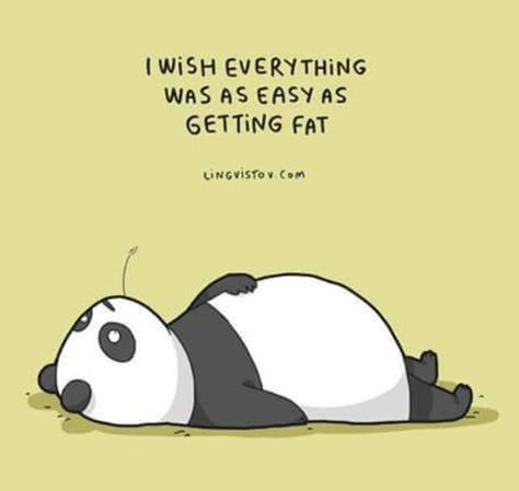 Weight loss humor quote Why I Love Him, 강아지 그림, Funny Illustration, Funny Doodles, Animal Quotes, الرسومات اللطيفة, Bones Funny, Cute Quotes, Bored Panda