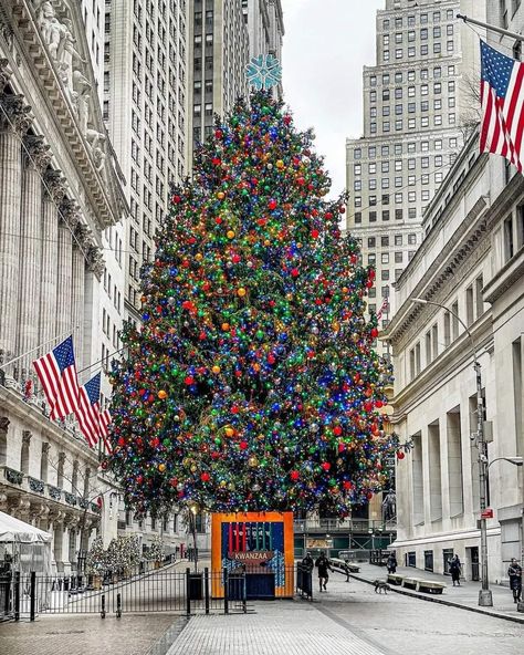 Ny Stock Exchange, New York Christmas Tree, Winter Nyc, Time To Go, Stock Exchange, Machu Picchu, Pretty Places, All Things Christmas, Entrance