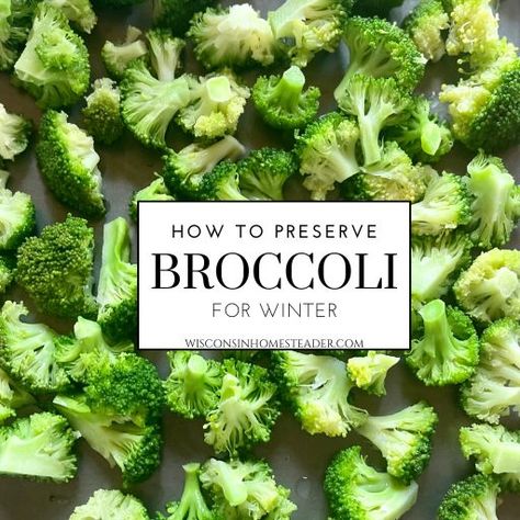 Preserve Broccoli, Venison Snack Sticks, How To Store Garlic, Snack Sticks, Homemade Applesauce, Traeger Grill, Frozen Broccoli, Broccoli Cheddar Soup, Jelly Recipes