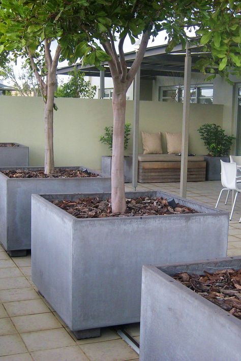 Cube planter boxes with feature trees create instant shade and a courtyard garden oasis. Concrete Tree Planter, Tree Boxes Planter Outdoor, Diy Tree Planter, Large Tree Planters, Garden Pyramid, Free Decorating Ideas, Cube Planter, Concrete Planter Boxes, Cozy Bedroom Decor