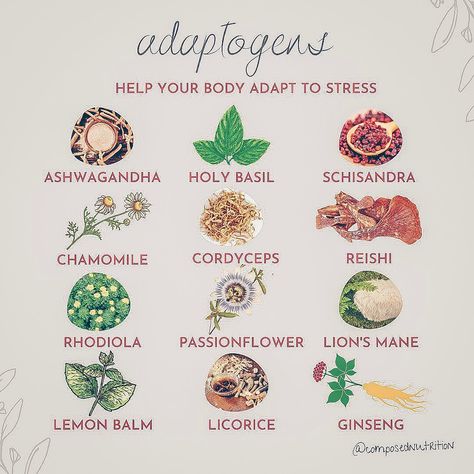 Adaptogens For Hormones, Herbs To Help Balance Hormones, Best Adaptogens For Women, Menaposal Herbs, Herbs For Hormones, Herbs For Women Hormones, Follicular Phase Herbs, Hormone Balancing Herbs, Regulate Hormones Woman