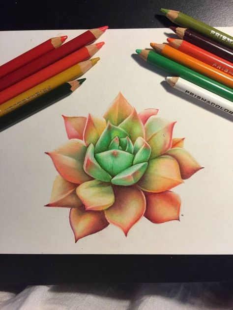 Realistic Flower Drawing, Cute Flower Drawing, Simple Flower Drawing, Easy Flower Drawings, Prismacolor Art, Beautiful Flower Drawings, Art Sketches Doodles, Colored Pencil Artwork, Doodle Art Journals