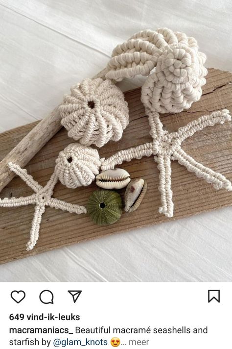 Macrame Seashell, Macrame Shell, Diy Earrings Easy, Crochet Basket Pattern Free, Hanger Crafts, Rope Crafts, Macrame Knot, Macrame Patterns Tutorials, Macrame Wall Art