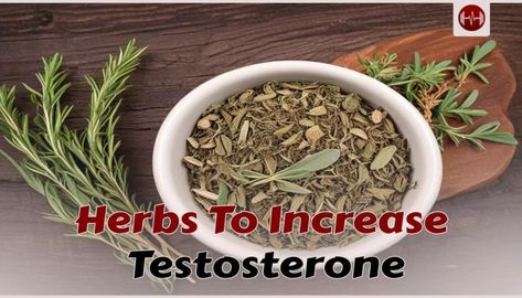 25 Foods to boost testosterone up to 25% - aestheticbeats Ways To Increase Testosterone, Testosterone Boosting Foods, Zinc Rich Foods, Beef Gelatin, Increase Testosterone Levels, High Testosterone, Boost Testosterone, Increase Testosterone, Testosterone Booster