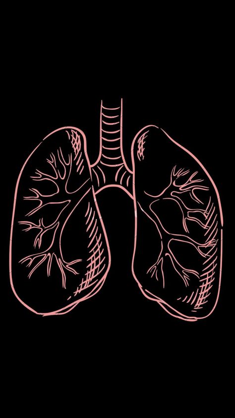 Paru Paru Aesthetic, Lungs Tattoo Ideas, Paru Paru Art, Biology Drawing Ideas Easy, Asthma Drawing, Lungs Wallpaper, Lung Wallpaper, Ips Wallpapers, Anatomical Heart Drawing