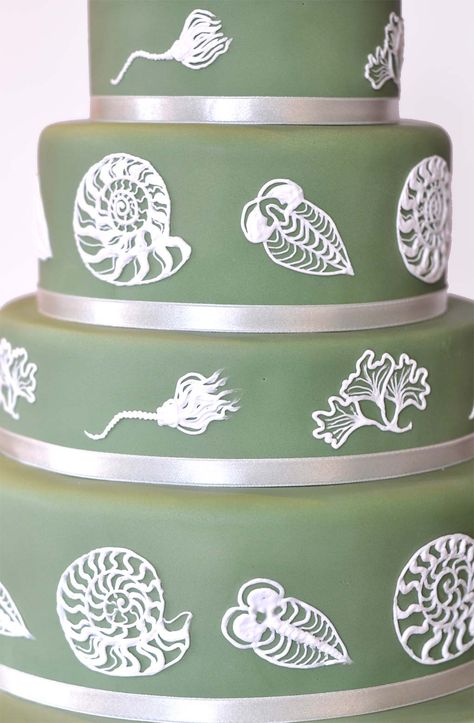 Wedding Cake - Fossil Jasperware Fossil Cake Ideas, Geologist Cake, Geology Cake, Fossil Cake, Fossil Party, Dino Wedding, Dinosaur Wedding Cake, Marine Cake, Dinosaur Wedding