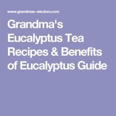 Grandma's Eucalyptus Tea Recipes & Benefits of Eucalyptus Guide Benefits Of Eucalyptus, Cholesterol Friendly Recipes, Herbal Tea Garden, Fennel Tea, Lemon Balm Tea, Medicinal Tea, Eucalyptus Tea, Ginger Essential Oil, Natural Kitchen