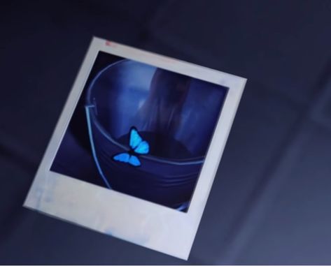 Life Is Strange Polaroid, Life Is Strange Butterfly, Life Is Strange Wallpaper, Dontnod Entertainment, Arcadia Bay, Life Is Strange 3, Chloe Price, Tattoo People, Chaos Theory