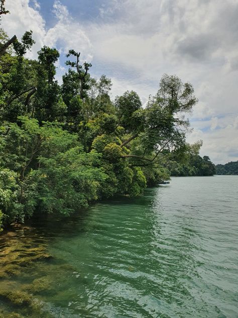 Singapore, Water, Nature