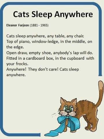 Cat Poems, National Poetry Month, Poetry Month, Cat Things, Happy Children, Google Co, Cat Sleeping, Poem Quotes, Inspiration Board