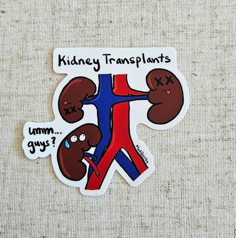 Fun Fact: in kidney transplants, sometimes the patient's original kidneys are not removed even though they are no longer functioning well. Often, the donated kidney is just added in the mix of things! The perfect gift for your favorite physician, surgeon, pharmacist, nurse, therapist, physician assistant, student, nephrologist, bioengineer, brainiac, or healthcare worker! Can be placed onto reusable water bottles, lockers, journals, stethoscopes, laptops or anything that needs a little pizzazz! Kidney Cake, Pkd Awareness, Transplant Party, Kidney Awareness, Kidney Transplantation, Physician Assistant Student, Kidney Donation, Organ Transplant, Stethoscopes